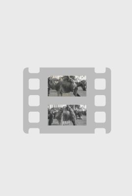 A Trip Through The Holy Land (1907)