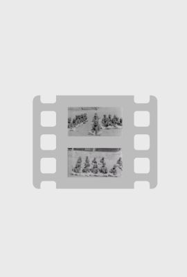 Boys' Home in Ahmednagar (1905)