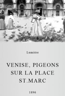 Feeding Pigeons in Front of St. Mark's Church, Venice (1896)
